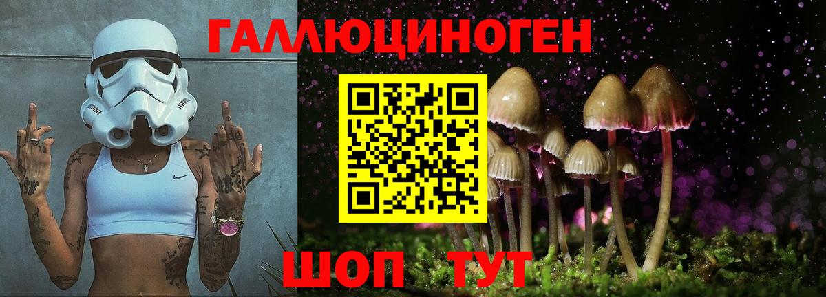 Псилоцибиновые грибы Psilocybine cubensis  Вход с VPN  купить наркоту  Ревда 